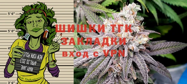 гидра Заводоуковск