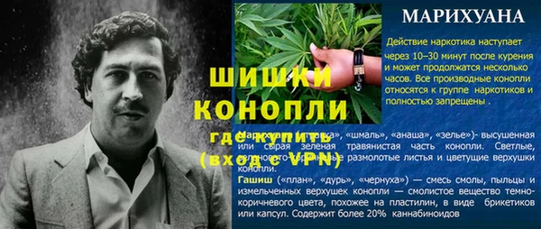 стафф Заволжск