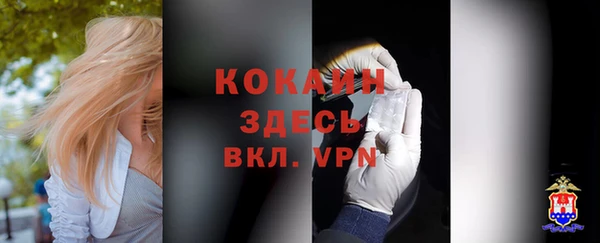 гидра Заводоуковск