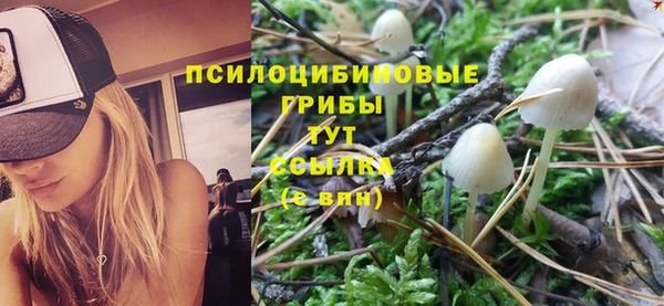 стафф Заволжск