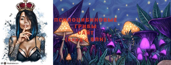 гидра Заводоуковск