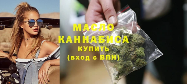 гидра Заводоуковск