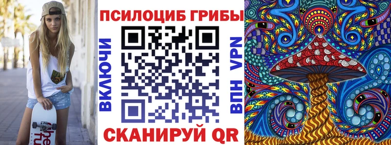 Купить Нестеров Галлюциногенные грибы Cubensis